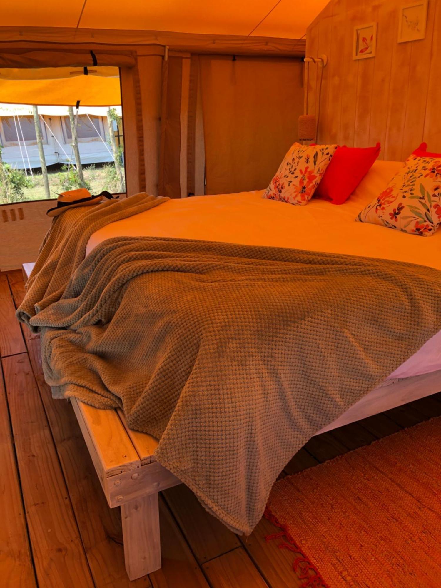 Campismo de Luxo Simple Camp